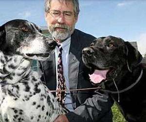   مصر اليوم - أميركي يربي نحو 300 طائر وحيوان في منزله