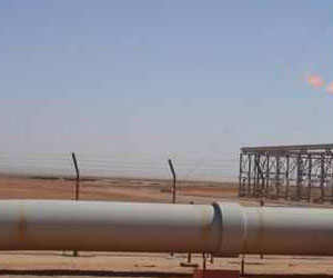   مصر اليوم - الجزائر تنفي نقص إمدادات الغاز بسبب هجوم إن أميناس