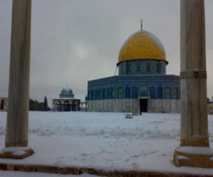   مصر اليوم - ادعيس: الأقصى أكبر من أن يكون ورقة تستهلك لتحقيق مكاسب انتخابية