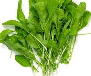 مصر اليوم - الجرجير يساعد على الإقلاع عن التدخين