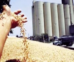 مصر اليوم - الأردن تتسلم منحة القمح الأميركية الأثنين