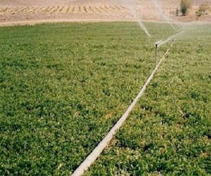   مصر اليوم - سويسرا تقدم منحة 60 مليون جنيه لرفع كفاءة الري في أسوان