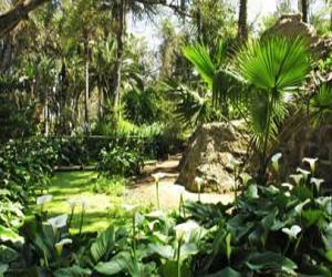 مصر اليوم - المغرب يقترح إنشاء صندوق تبرعات لحماية الغابات في العالم