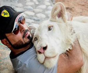   مصر اليوم - حديقة إماراتية لإيواء حيوانات برية أهملها أصحابها
