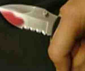   مصر اليوم - روسي يقطّع إبنة أخته الطفلة وحمّص أجزاءها في الفرن