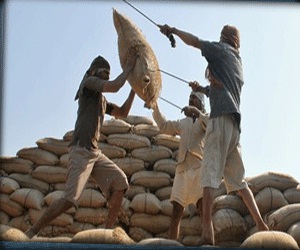 مصر اليوم - العراق يطرح عطاءات لشراء السكر والأرز