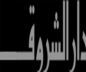   مصر اليوم - الفيل الأزرق الأكثر مبيعًا ضمن إصدارات الشروق في معرض الكتاب