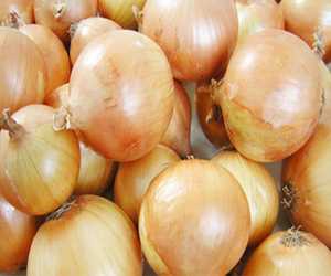 مصر اليوم - البصل لعلاج التهاب الجيوب الأنفية