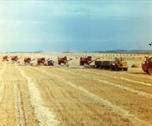   مصر اليوم - تونس تُقرر إستيراد 476 ألف طن من الحبوب لتغطية حاجاتها