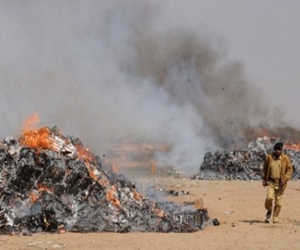   مصر اليوم - الجمارك الباكستانية تحرق كميات كبيرة من المخدرات المهربة