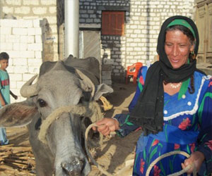   مصر اليوم - 400 ألف جنيه للمرأة المعيلة و الريفية في المنيا