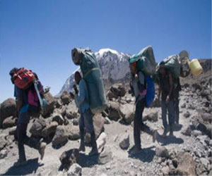   مصر اليوم - إحباط محاولة تسلل 4 أفارقة إلى إسرائيل عبر الحدود المصرية