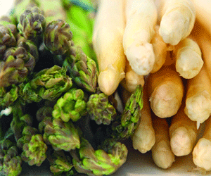 مصر اليوم - الهليون ينبوع الرشاقة والصحة