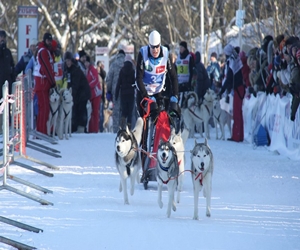   مصر اليوم - روسيا البيضاء تقيم مسابقة دولية لزلاجات الكلاب