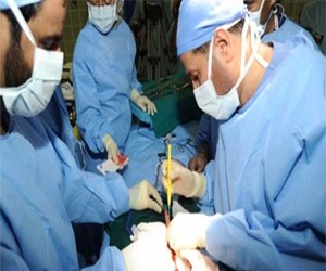   مصر اليوم - أنسجة للكلى من الخلايا الجذعية