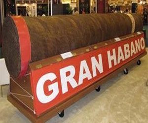   مصر اليوم - سيجار عملاق بسعر 185 ألف دولار في فلوريدا