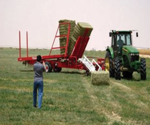   مصر اليوم - الإعلان عن قيام اتحاد مزارعي وادي النيل بين مصر والسودان الأربعاء