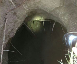   مصر اليوم - حماس: الحديث عن تسلل عناصر من القسام لمصر أكاذيب