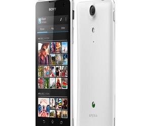   مصر اليوم - 19% من الشباب يستخدمون الهواتف الذكية في مصر