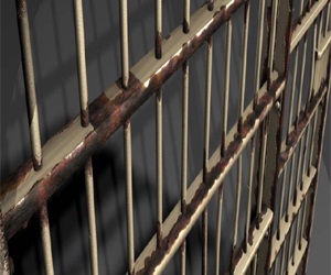   مصر اليوم - أميركي وزوجتة يحتجزان طفلتهما في قفص للخروج ومشاهدة فيلم