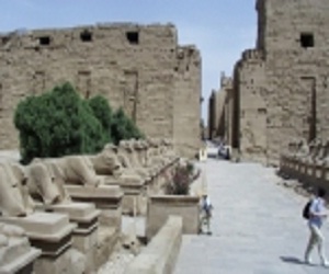   مصر اليوم - الأقصر تستضيف ملتقى الصعيد للتنمية السبت والأحد