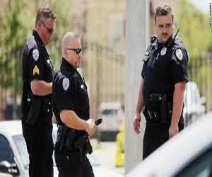   مصر اليوم - سرقا جوانح دجاج بقيمة 65 ألف دولار