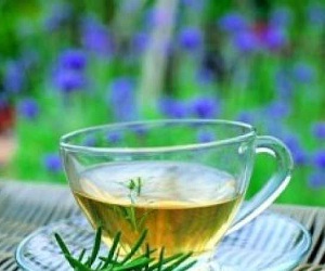 مصر اليوم - 8 خضروات وأعشاب تقاوم السرطان