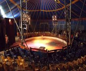   مصر اليوم - السيرك الأوربي يقدم عروضه في أسوان لمناسبة ذكرى الثورة