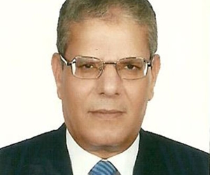   مصر اليوم - نائب رئيس مجلس الدولة يضع 3 ملاحظات على قانون التظاهر