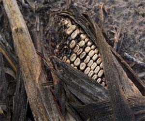   مصر اليوم - الاحترار الناجم عن انبعاثات ثاني أكسيد الكربون سيؤدي الى انخفاض نسبة الأمطار