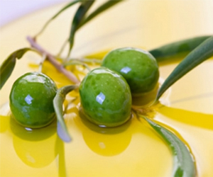 مصر اليوم - الزيتون يقي من الإصـابة بتصلب الشرايين والأمراض القلبية