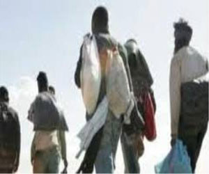   مصر اليوم - توقيف 11 مهاجرًا إريتريًا في سيناء و4 فلسطينيين إقامتهم منتهية