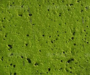 مصر اليوم - باحثون يتوصلون إلى خرسانة خضراء لامتصاص ثاني أكسيد الكربون