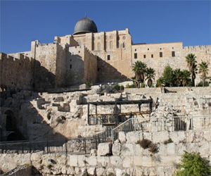   مصر اليوم - آثريو الإيسيسكو يطالبون بمحاكمة إسرائيل