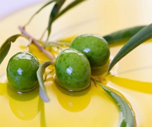 مصر اليوم - الزيتون يقي من الإصابة بتصلب الشرايين والأمراض القلبية
