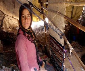   مصر اليوم - 940 قرضًا للسيدات الفقيرات في المنيا