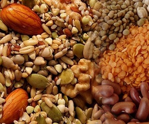   مصر اليوم - الكولسترول بريء من أمراض القلب والماغنسيوم متهم