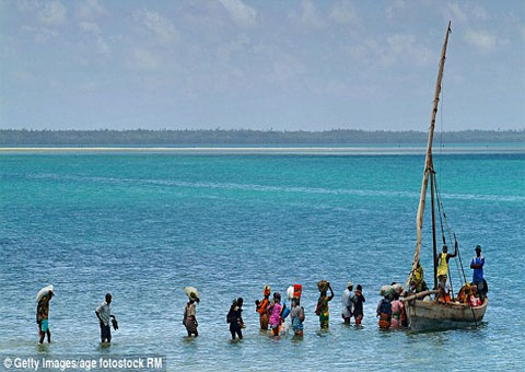   مصر اليوم - الحياة في أحضان الطبيعة البرية والبحرية في تنزانيا
