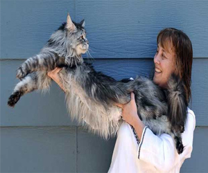 مصر اليوم - نفوق أطول هر منزلي في العالم