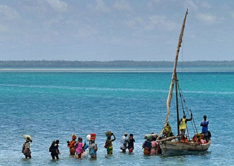   مصر اليوم - الحياة في أحضان الطبيعة البرية والبحرية في تنزانيا