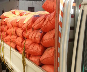   مصر اليوم - ضبط 6 أطنان سماد يوريا مدعم قبل تهريبها في الوادي الجديد