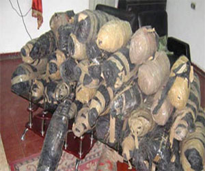   مصر اليوم - ضبط نصف طن بانجو و50 كيلو حشيش في خليج السويس