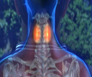   مصر اليوم - أسباب آلام الرقبة وطرق علاجها