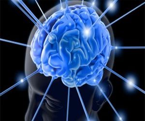   مصر اليوم - طبيب ألماني يحدد المنطقة المسؤولة في المخ عن الشر عند المغتصبين والقتلة