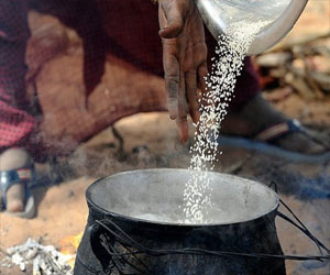   مصر اليوم - بوادر أزمة غذائية حادّة في مالي