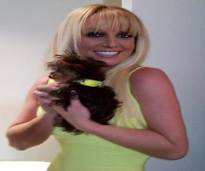   مصر اليوم - كلبة جديدة للنجمة الأميركية بريتني سبيرز