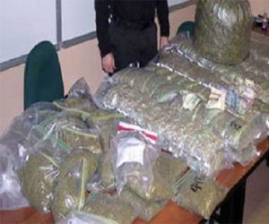   مصر اليوم - أمن القاهرة يضبط شخصًا و في حوزته 751طربة حشيش