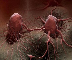   مصر اليوم - الكيمياء الحيوية سلاح فتاك ضد السرطان