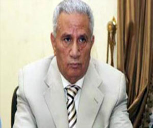   مصر اليوم - الدماطي: ليس من حق عاشور إسناد عمل الحريات إلى البرادعي