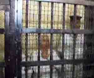   مصر اليوم - جنايات الإسماعيلية تؤجل النطق بالحكم بإعدام 19 متهمًا قتلوا شابًا